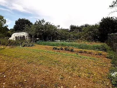 Maison, 115 m²