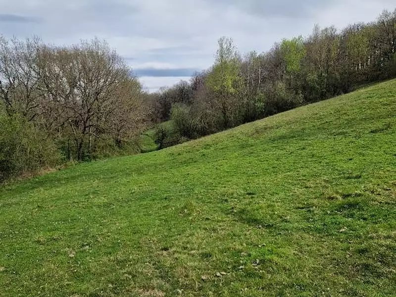 Terrain, 86 000 m²