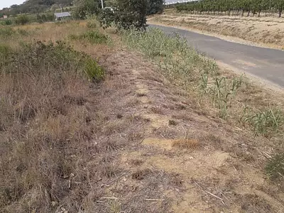 Terrain, 7 715 m²