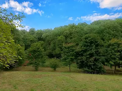 Terrain, 33 821 m²