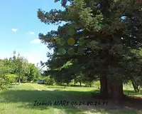 Terrain, 1 763 m²