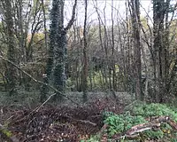 Terrain, 6 513 m²