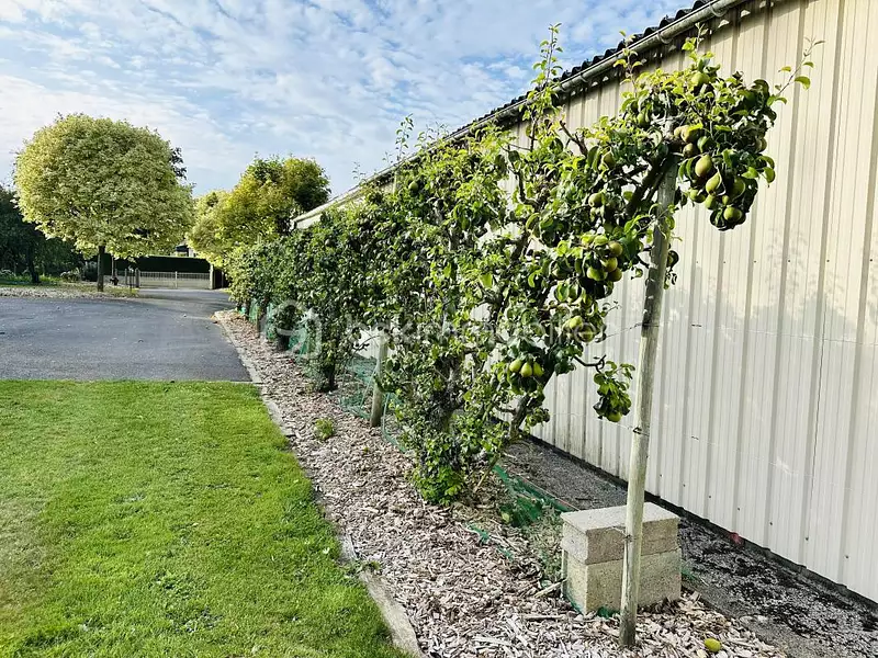 Maison, 140 m²