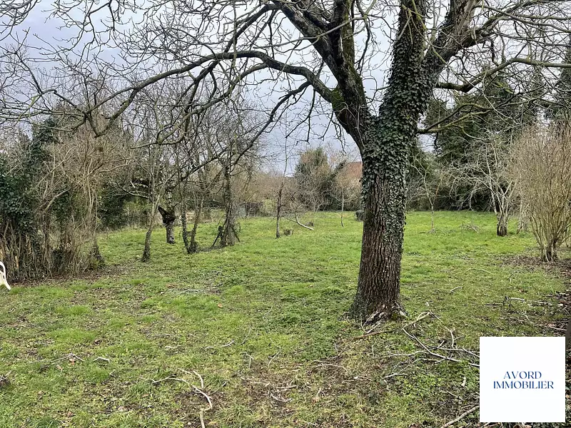 Terrain, 805 m²