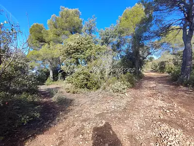 Terrain, 20 880 m²