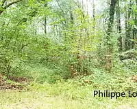 Terrain, 26 000 m²