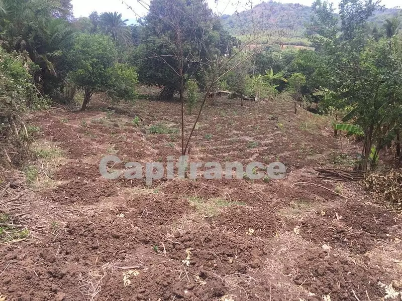 Terrain, 6 969 m²