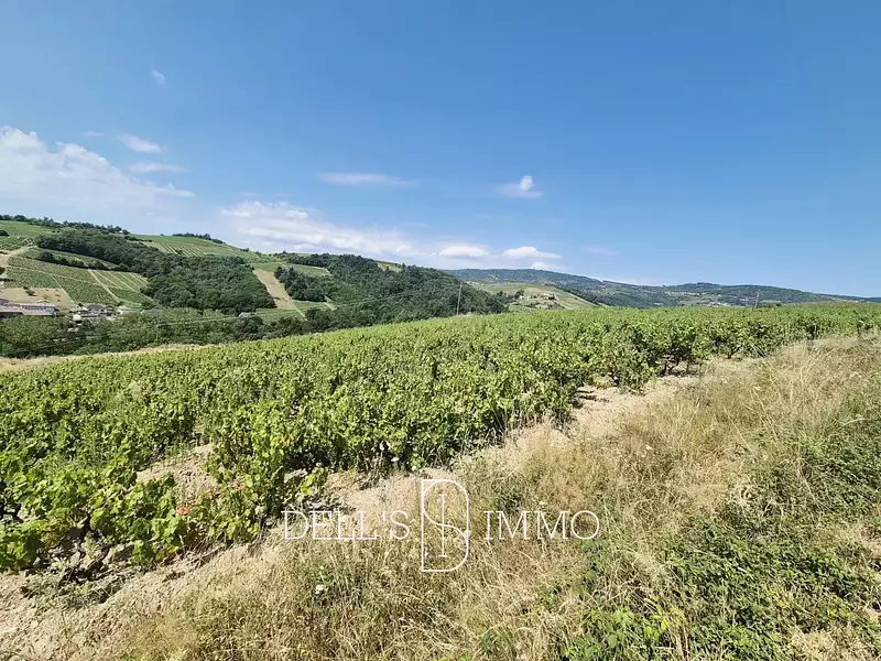 Terrain, 51 850 m²