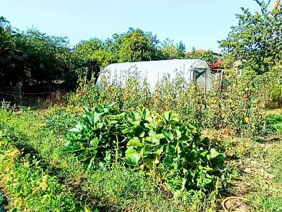 Maison, 56 m²