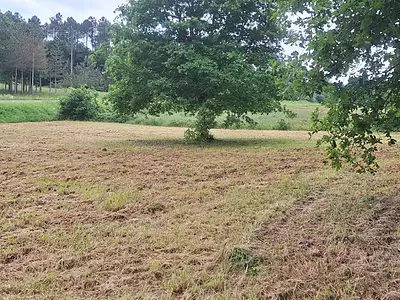 Terrain, 1 219 m²