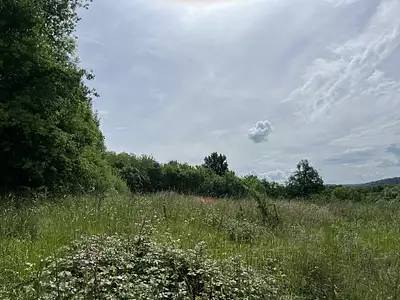 Terrain, 8 294 m²