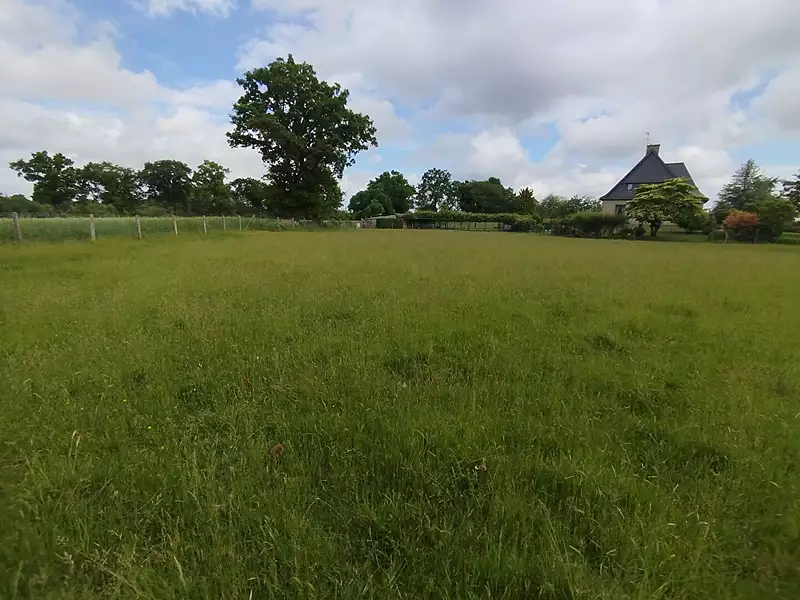 Terrain, 1 485,1 m²