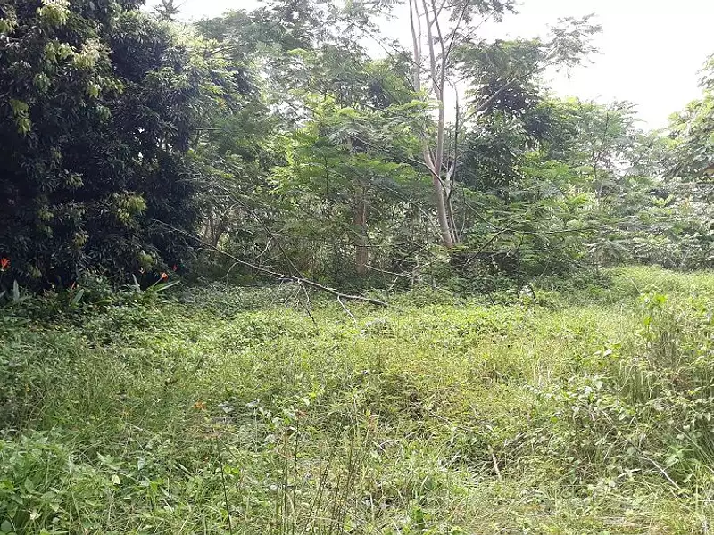 Terrain, 3 646 m²