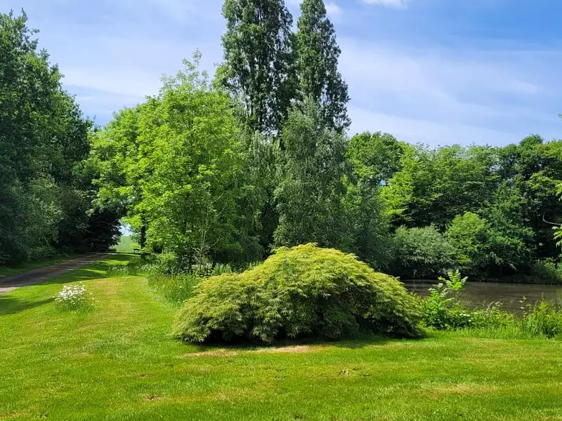 Maison, 535 m²