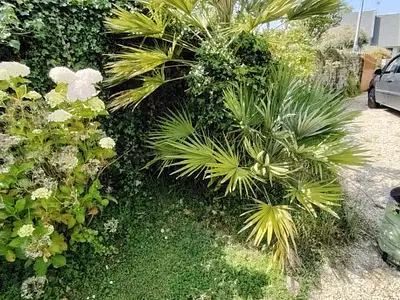 Maison, 90 m²