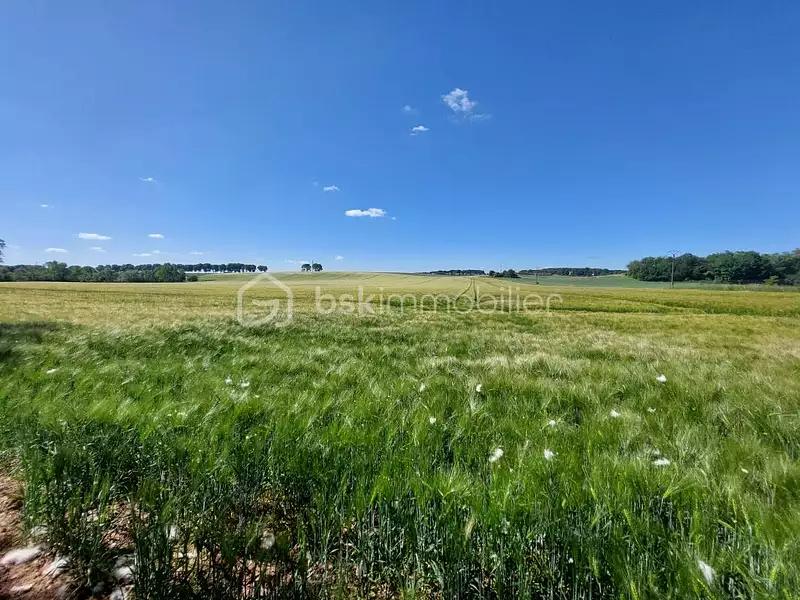 Terrain, 22 550 m²