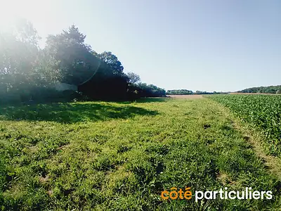 Terrain, 450 m²