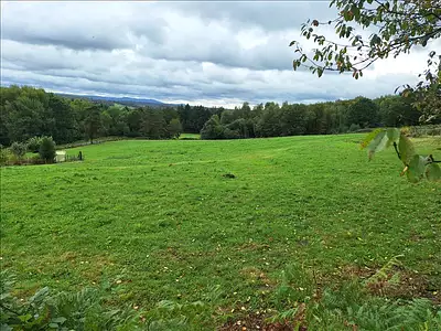 Terrain, 2 875 m²