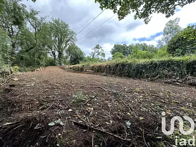 Terrain, 1 195 m²