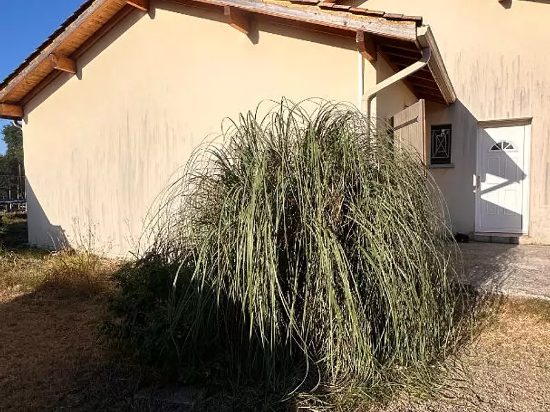 Maison, 125 m²