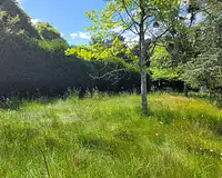 Terrain, 706 m²