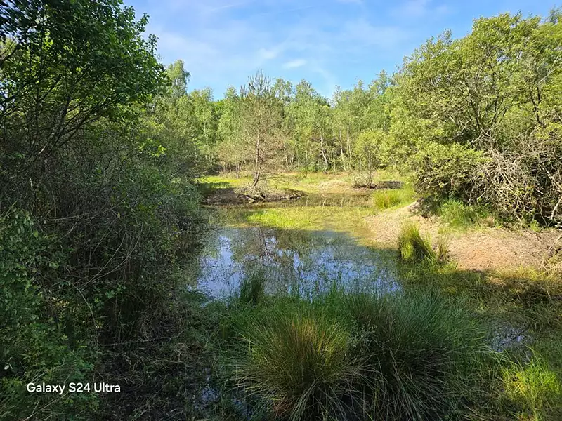 Terrain, 231 782 m²