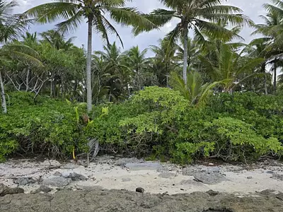 Terrain, 9 800 m²