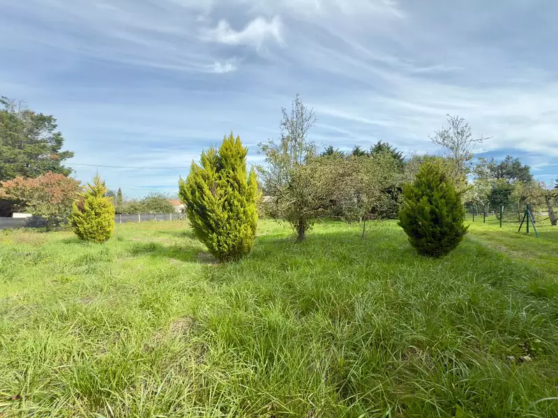 Terrain, 826 m²