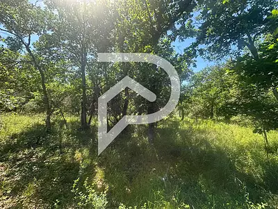 Terrain, 1 354 m²