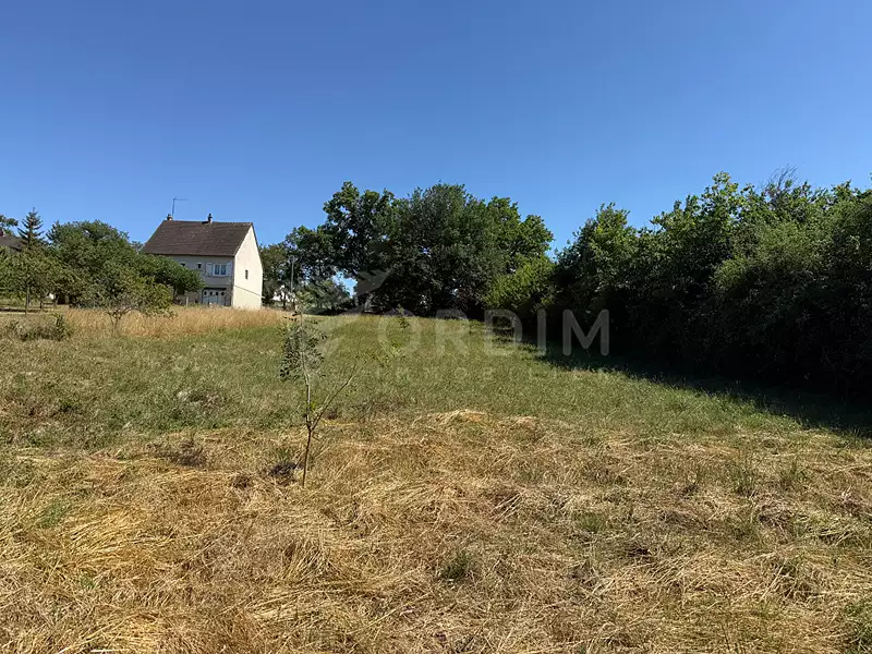 Terrain, 2 165 m²