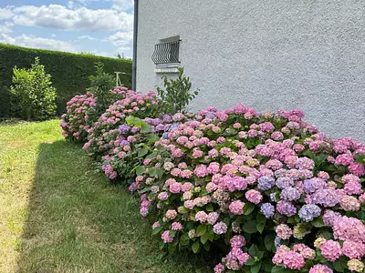 Maison, 150 m²