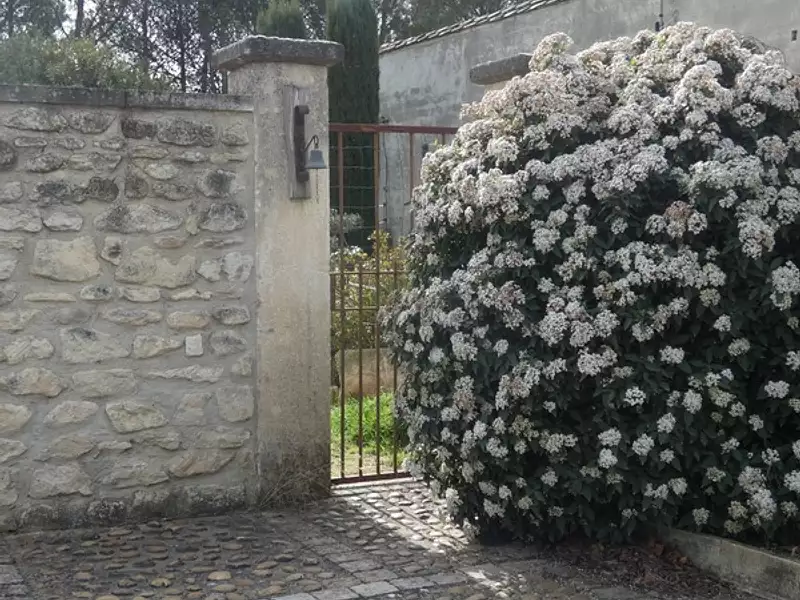 Maison, 225 m²