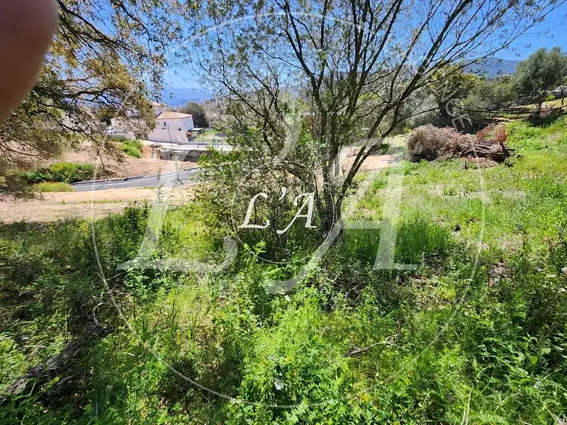 Terrain, 1 037,33 m²