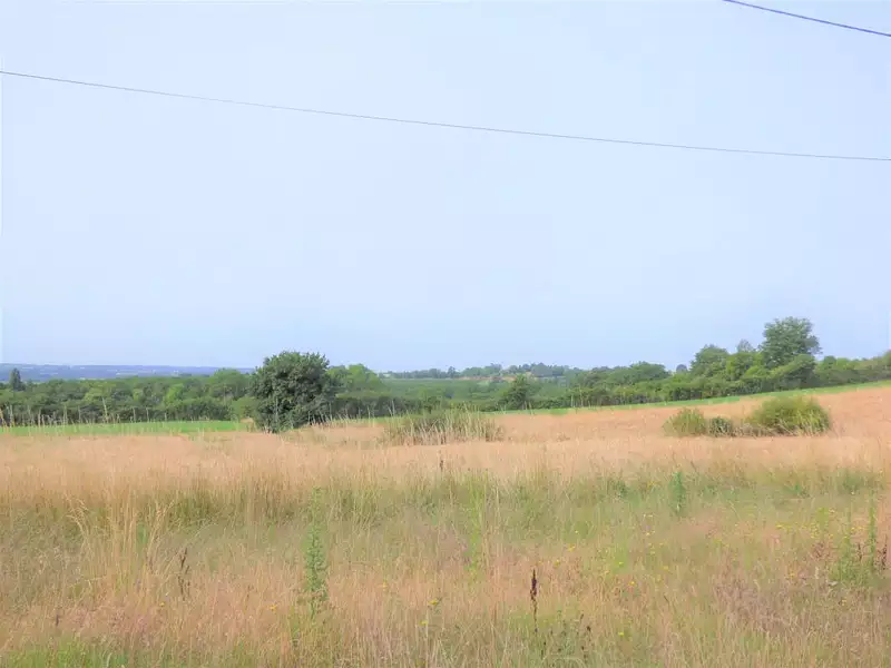 Terrain, 2 318 m²