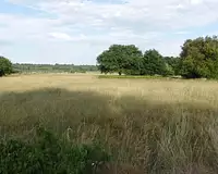 Terrain, 34 231 m²