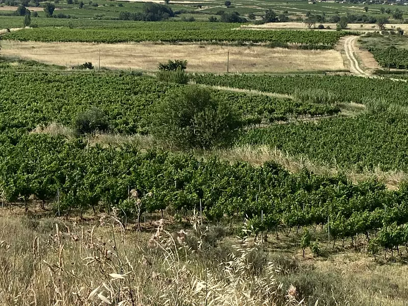 Terrain, 52 610 m²