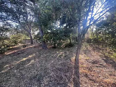 Terrain, 647 m²