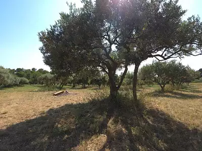 Maison, 101 m²