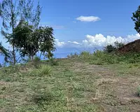 Terrain, 1 600 m²