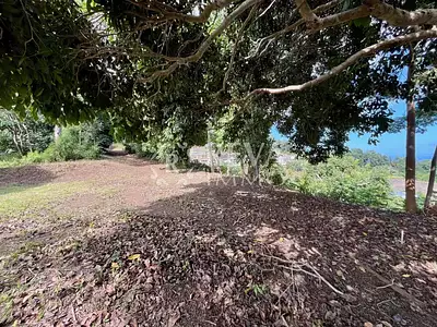 Terrain, 800 m²