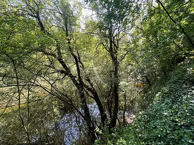 Terrain, 5 764 m²