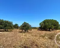 Terrain