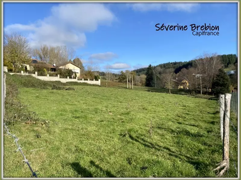 Terrain, 2 545 m²