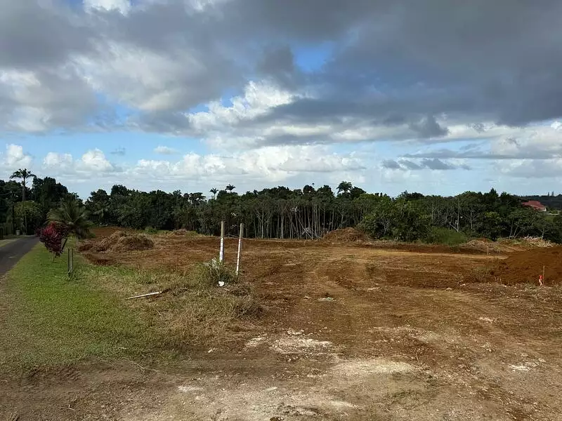 Terrain, 991 m²