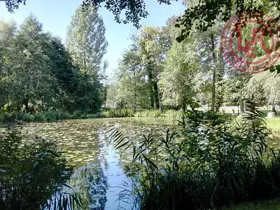 Terrain, 3 807 m²