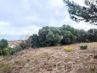 Terrain, 1 350 m²