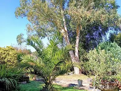 Maison, 136 m²