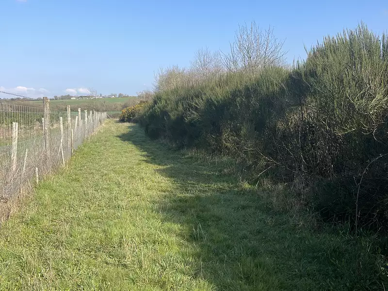 Terrain, 34 900 m²