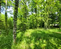 Terrain, 27 664 m²