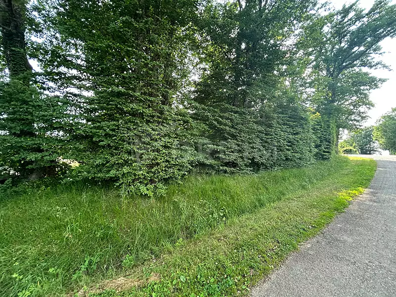Terrain, 1 137 m²